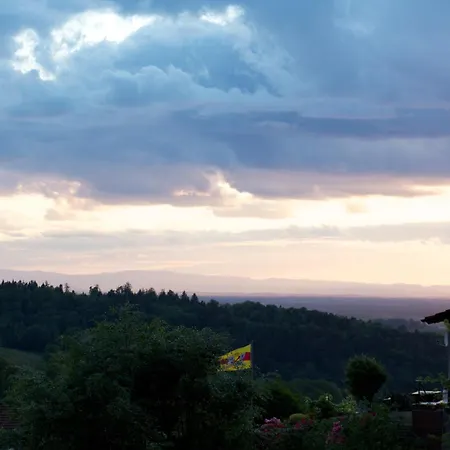 Lejlighed Kist Sasbachwalden